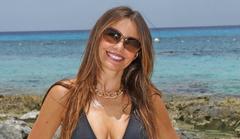 sofia vergara plans surrogate baby, reportedly afraid what pregnancy would do to her career